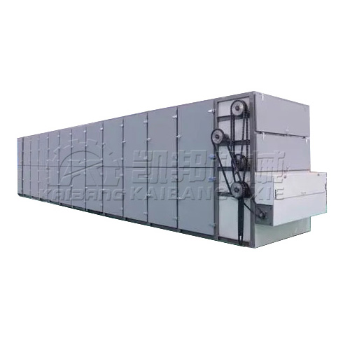 Mesh Belt Dryer Machine