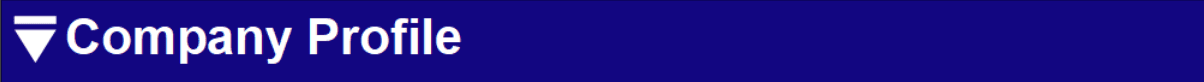 company profile.png